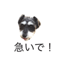 ラビです（個別スタンプ：26）