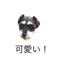 ラビです（個別スタンプ：27）