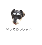 ラビです（個別スタンプ：32）