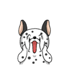 Dragon Fruit Dog 2（個別スタンプ：3）