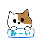 キチネコ（個別スタンプ：6）