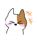キチネコ（個別スタンプ：7）