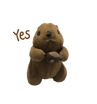 Karoksjourney.（個別スタンプ：21）