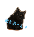 黒猫クインのスタンプ（個別スタンプ：7）