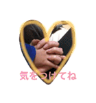 親バカさんスタンプ（個別スタンプ：33）