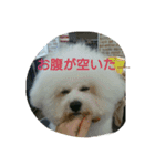 遠くても繋がってるよ（個別スタンプ：15）