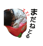 岡山弁うーとねー（個別スタンプ：13）