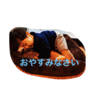 あおたろさんNO.1（個別スタンプ：4）