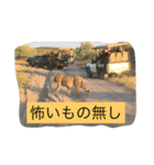 旅行. 好き（個別スタンプ：1）