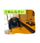 旅行. 好き（個別スタンプ：3）
