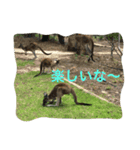 旅行. 好き（個別スタンプ：4）