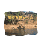 旅行. 好き（個別スタンプ：5）