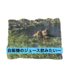旅行. 好き（個別スタンプ：6）