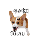 Baguette the corgi（個別スタンプ：7）