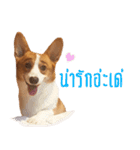 Baguette the corgi（個別スタンプ：14）