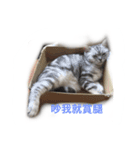 xiugirl（個別スタンプ：3）