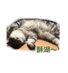 xiugirl（個別スタンプ：4）
