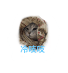 xiugirl（個別スタンプ：5）
