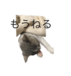 毎日サンシロー（個別スタンプ：2）
