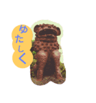 沖縄と異文化理解（個別スタンプ：15）
