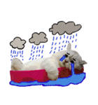 Miyako ＆ Gentoo（個別スタンプ：5）