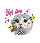 Miyako ＆ Gentoo（個別スタンプ：6）