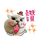 Miyako ＆ Gentoo（個別スタンプ：13）