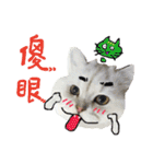 Miyako ＆ Gentoo（個別スタンプ：15）
