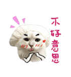 Miyako ＆ Gentoo（個別スタンプ：17）