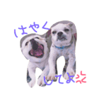 ラブメルマー（個別スタンプ：3）