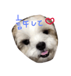 ラブメルマー（個別スタンプ：6）