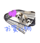 ラブメルマー（個別スタンプ：7）