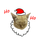 Meow Meow :with x'mas time（個別スタンプ：4）
