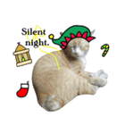Meow Meow :with x'mas time（個別スタンプ：6）