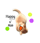 Meow Meow :with x'mas time（個別スタンプ：8）