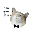 Meow Meow :with x'mas time（個別スタンプ：15）
