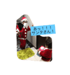 Christmas s家Photos（個別スタンプ：8）