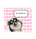 だいちゃんとしょうたのゆかいなスタンプ（個別スタンプ：4）