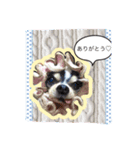 だいちゃんとしょうたのゆかいなスタンプ（個別スタンプ：6）