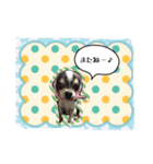 だいちゃんとしょうたのゆかいなスタンプ（個別スタンプ：7）
