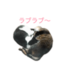 ブチャ夫婦と3兄弟（個別スタンプ：21）
