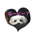 Chooochyan0806（個別スタンプ：1）