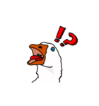 Cool Goose（個別スタンプ：1）