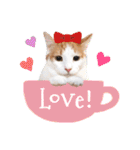 まんまるねこラプソディ（個別スタンプ：11）