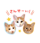 まんまるねこラプソディ（個別スタンプ：12）