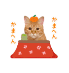 まんまるねこラプソディ（個別スタンプ：19）