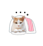 まんまるねこラプソディ（個別スタンプ：20）