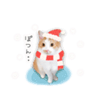 まんまるねこラプソディ（個別スタンプ：23）