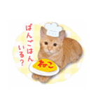まんまるねこラプソディ（個別スタンプ：27）