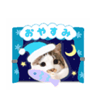 まんまるねこラプソディ（個別スタンプ：35）